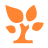 Jinshuju