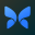 Butterfly Network