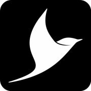 Blackbird